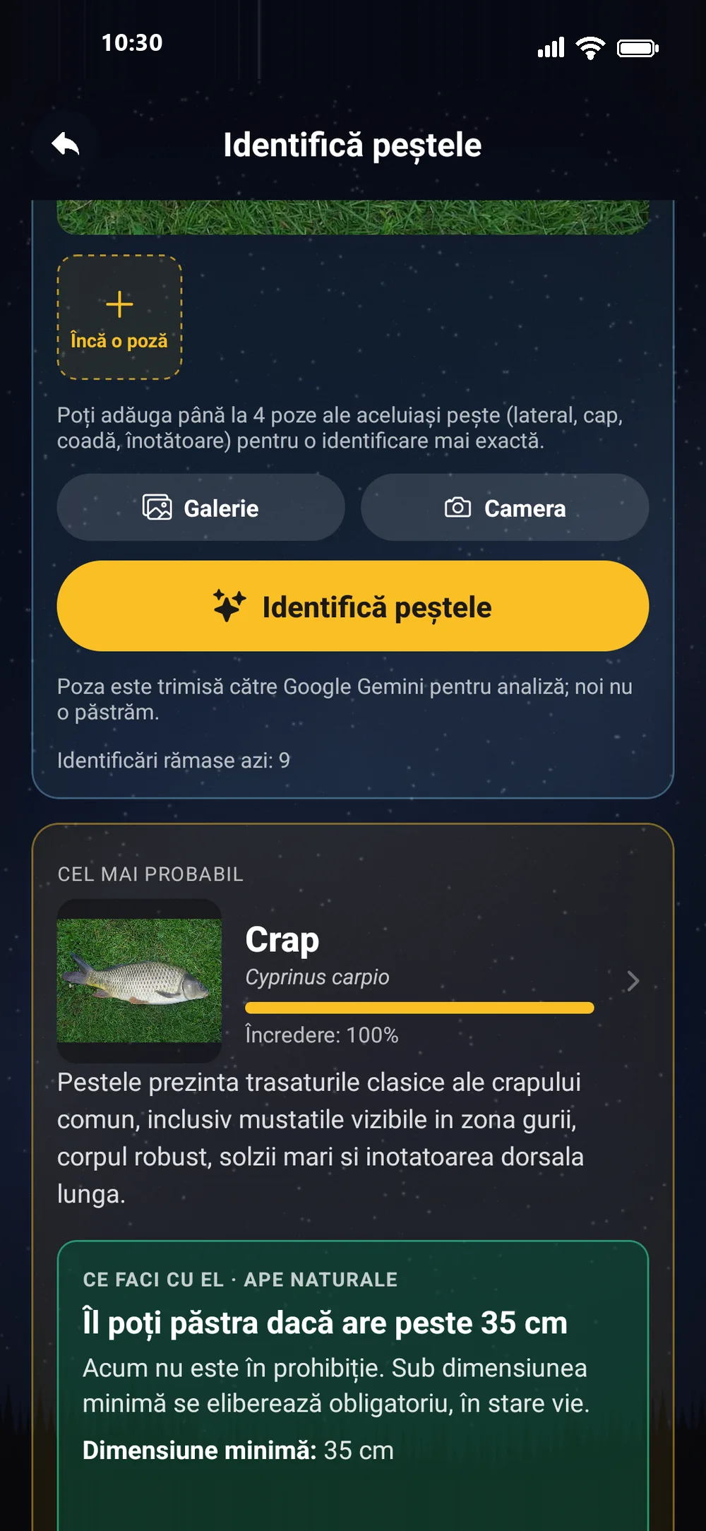 Identificarea peștelui în aplicația RoFish