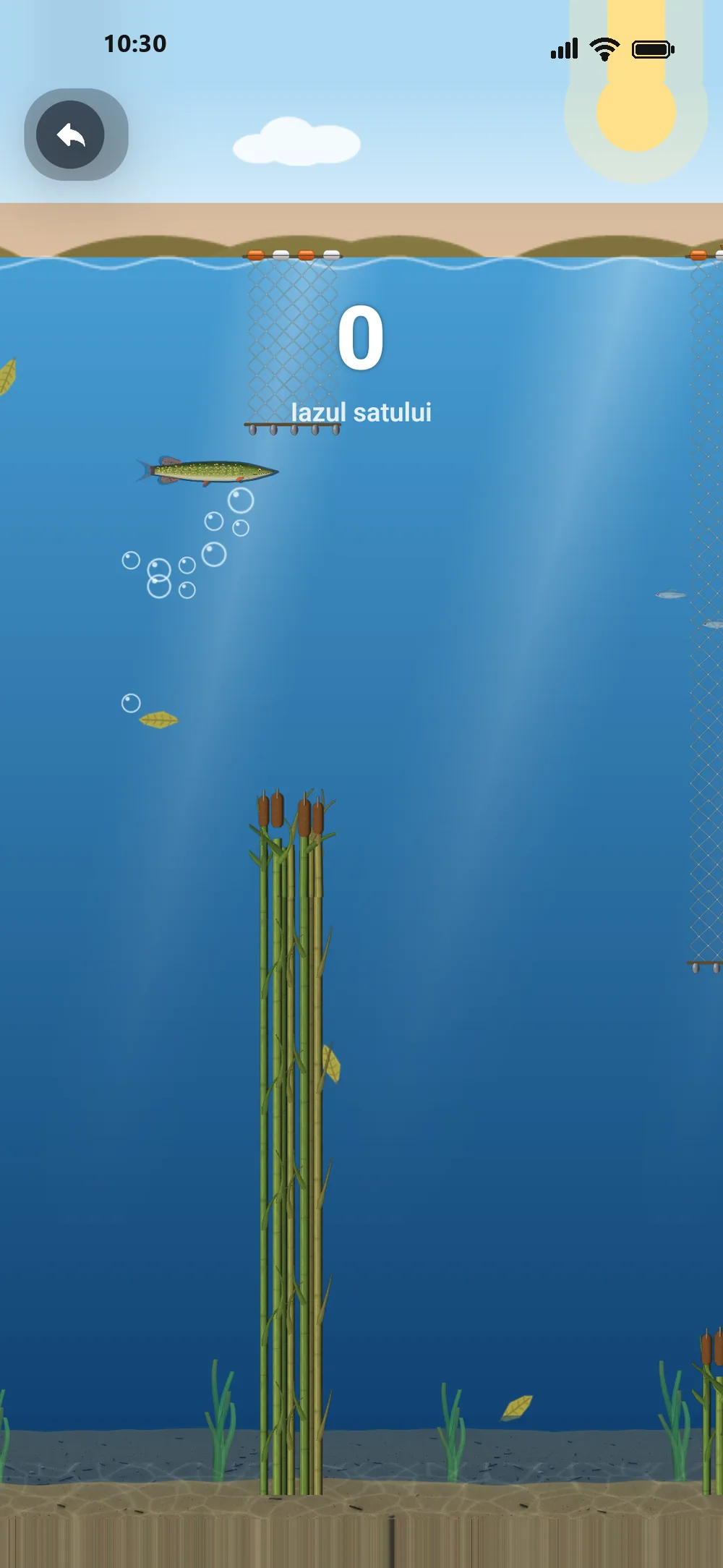 O știucă înoată printre setci în Flappy Fish