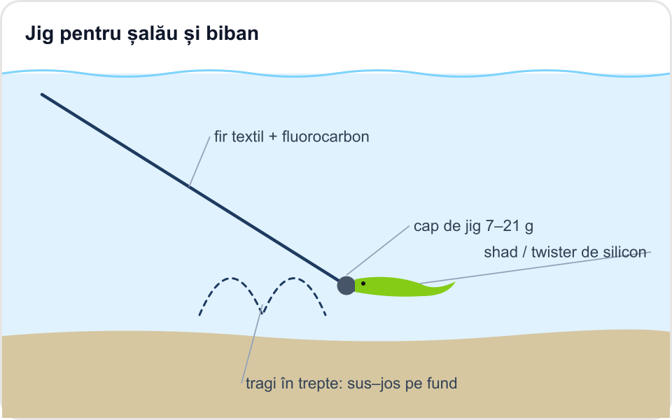 Ilustrație: Jig pentru șalău și biban