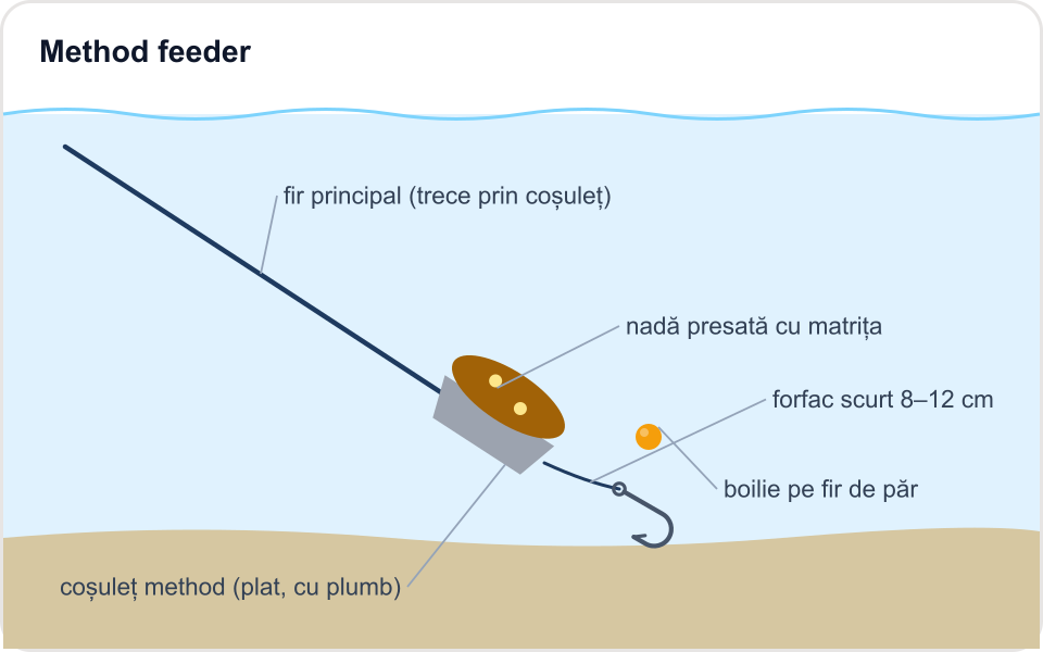Ilustrație: Method feeder