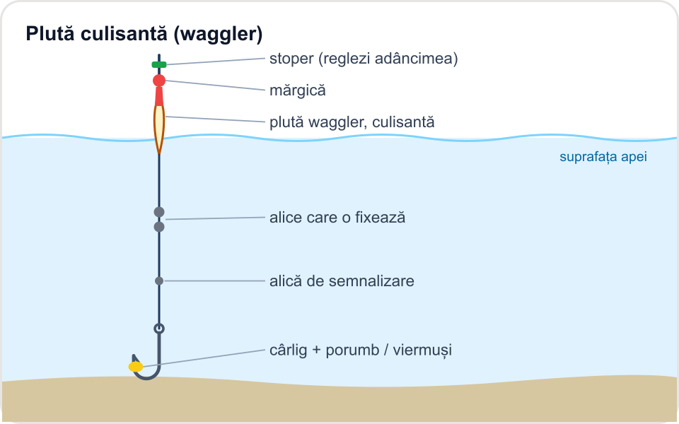 Ilustrație: Plută culisantă (waggler)