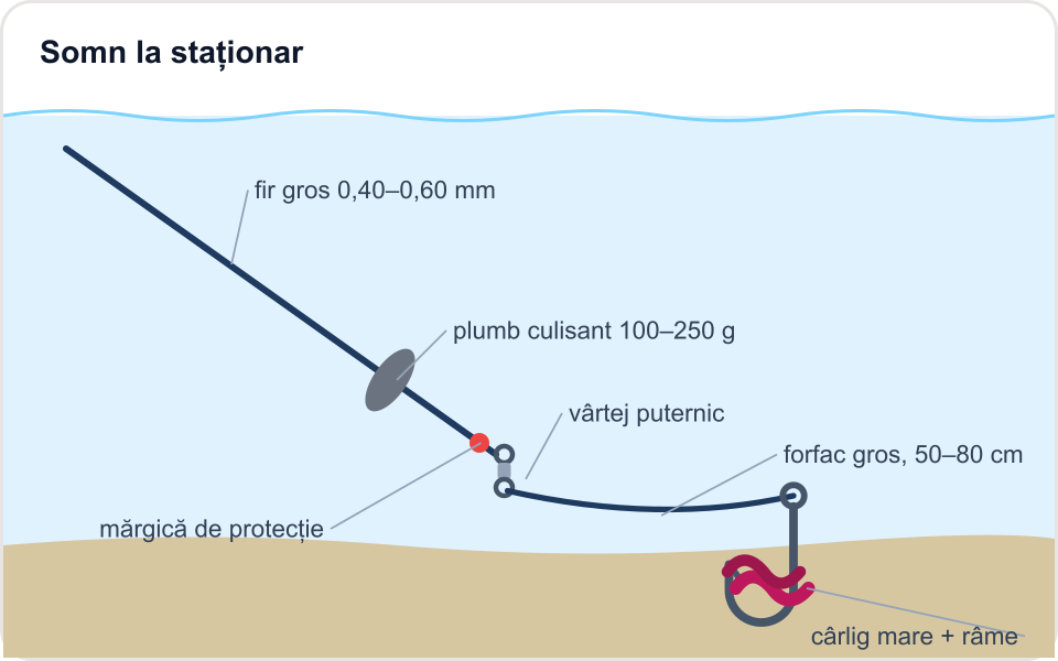 Ilustrație: Somn la staționar (montură fixă cu plumb greu)