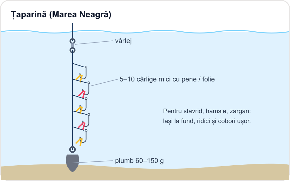 Ilustrație: Țaparină (Marea Neagră)
