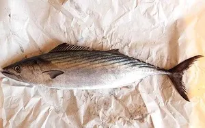 Pălămidă